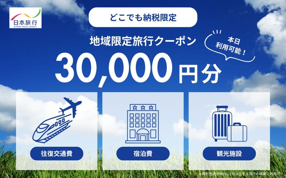 【どこでも納税限定】栃木県那須塩原市 日本旅行 地域限定旅行クーポン(発券なし)30,000円分(管理コード: ns094-002-30000)