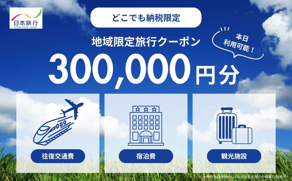 【どこでも納税限定】北海道小樽市 日本旅行 地域限定旅行クーポン(発券なし)300,000円分