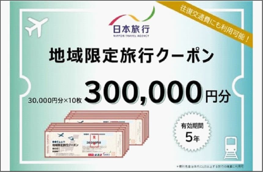 【どこでも納税限定】福岡県福岡市 日本旅行 地域限定旅行クーポン300,000円分(発券なし)新浦安支店